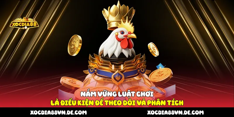 Nắm vững luật chơi là điều kiện để theo dõi và phân tích